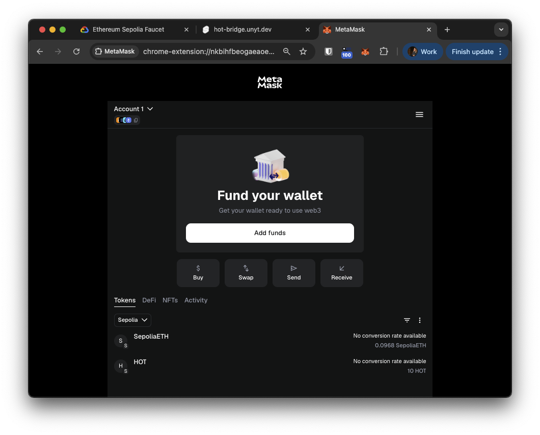 Mock HOT balance visible in MetaMask
